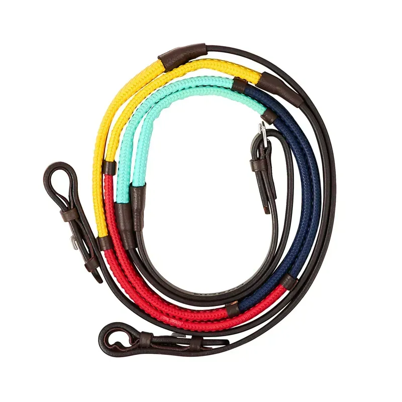 Dublin Rainbow Reins - Brown/Multi