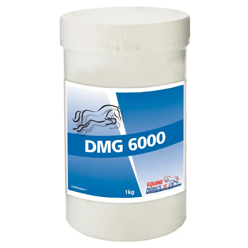 Equine Products DMG 6000 Metabolism Enhancment Powder - 1kg