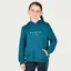 Dublin Kids Lilah Lurex Logo Hoodie - Legion Blue/Silver