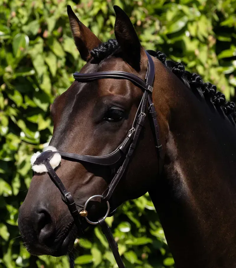 Premier Equine Glorioso Grackle Bridle - Brown