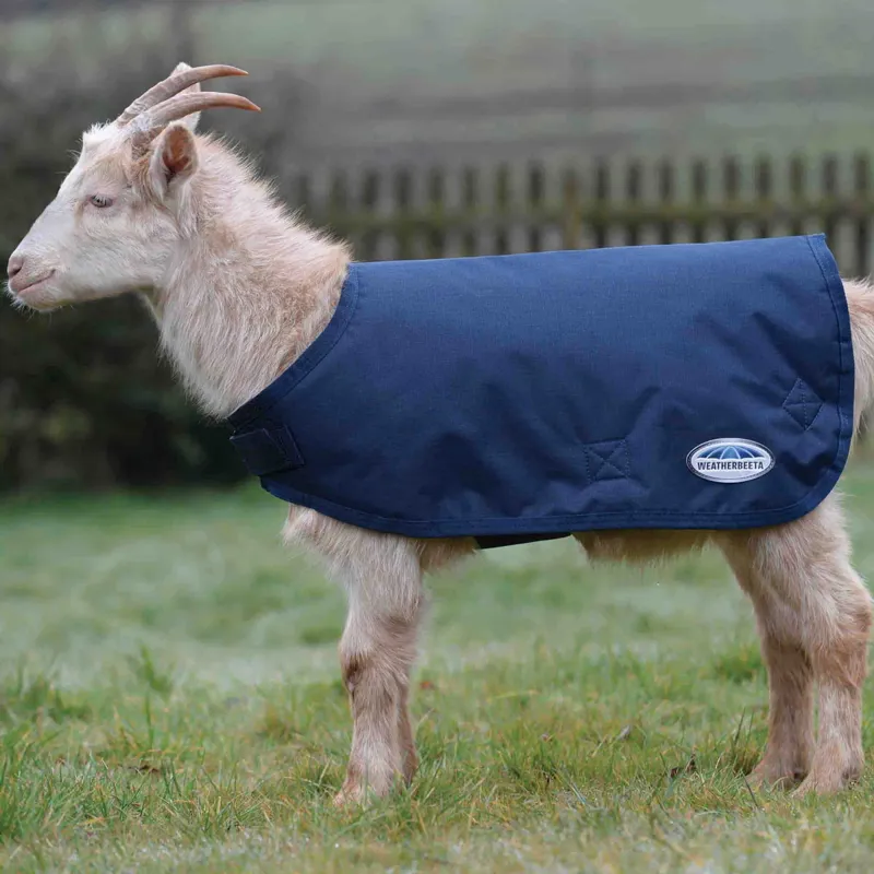 Weatherbeeta Goat Coat - Navy