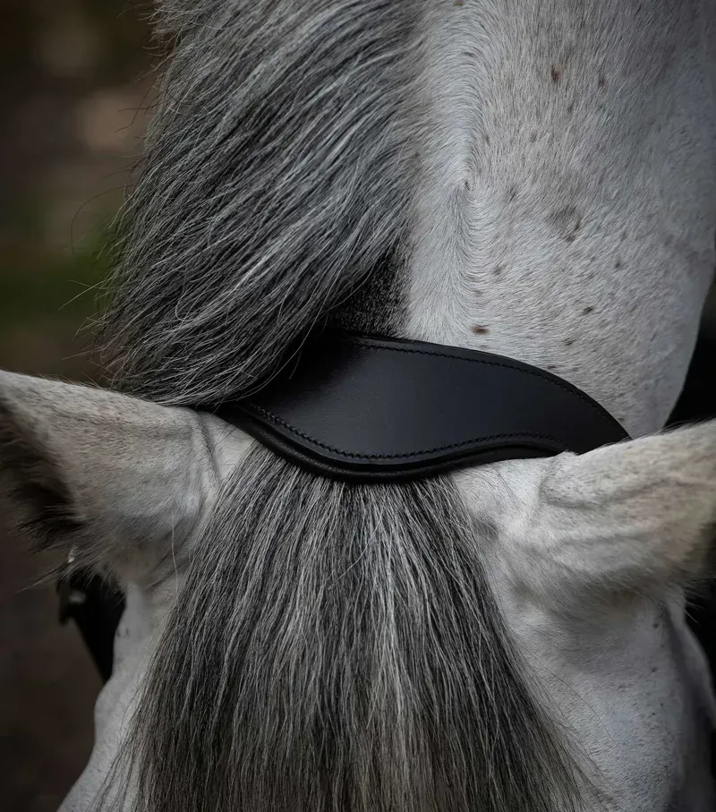 Premier Equine Hennaroso Rolled Anatomic Leather Head Collar - Black-1