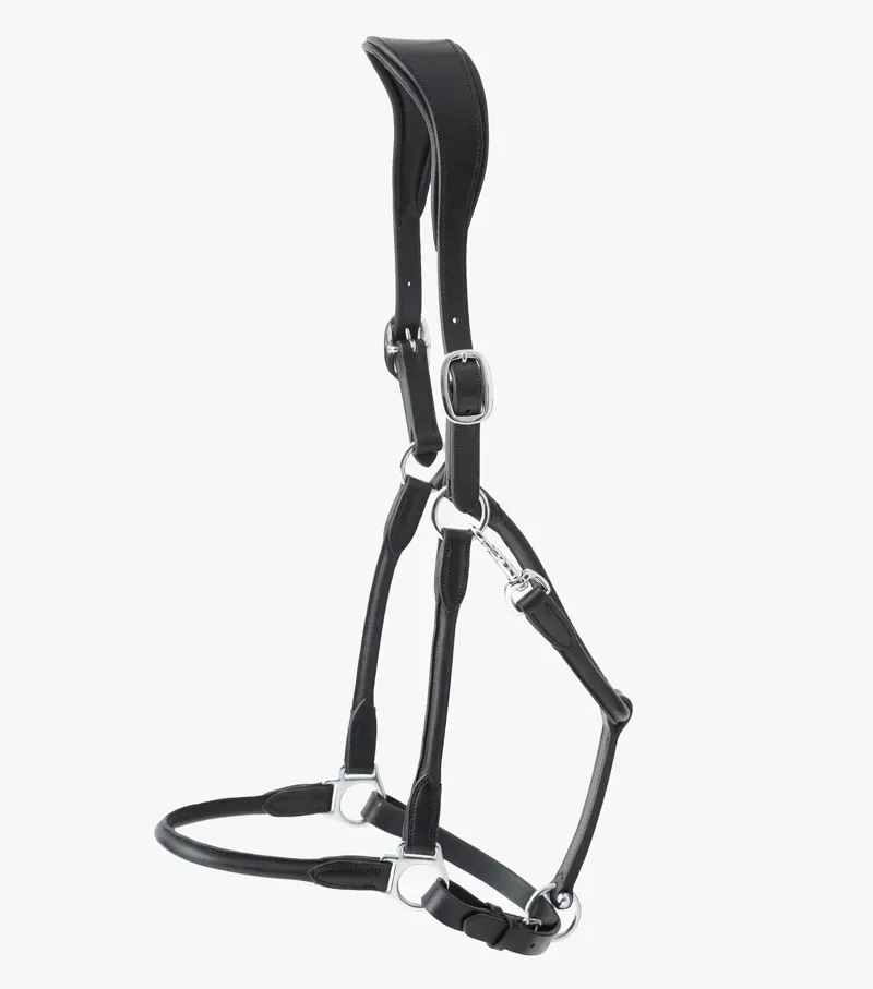 Premier Equine Hennaroso Rolled Anatomic Leather Head Collar - Black-2