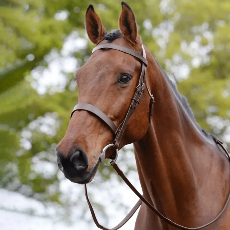 Kincade Hunt Cavesson Bridle II - Brown