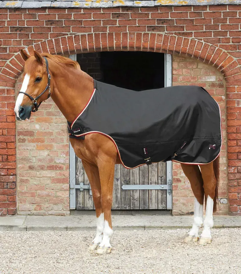 Premier Equine 100g Horse Walker Rug - Black