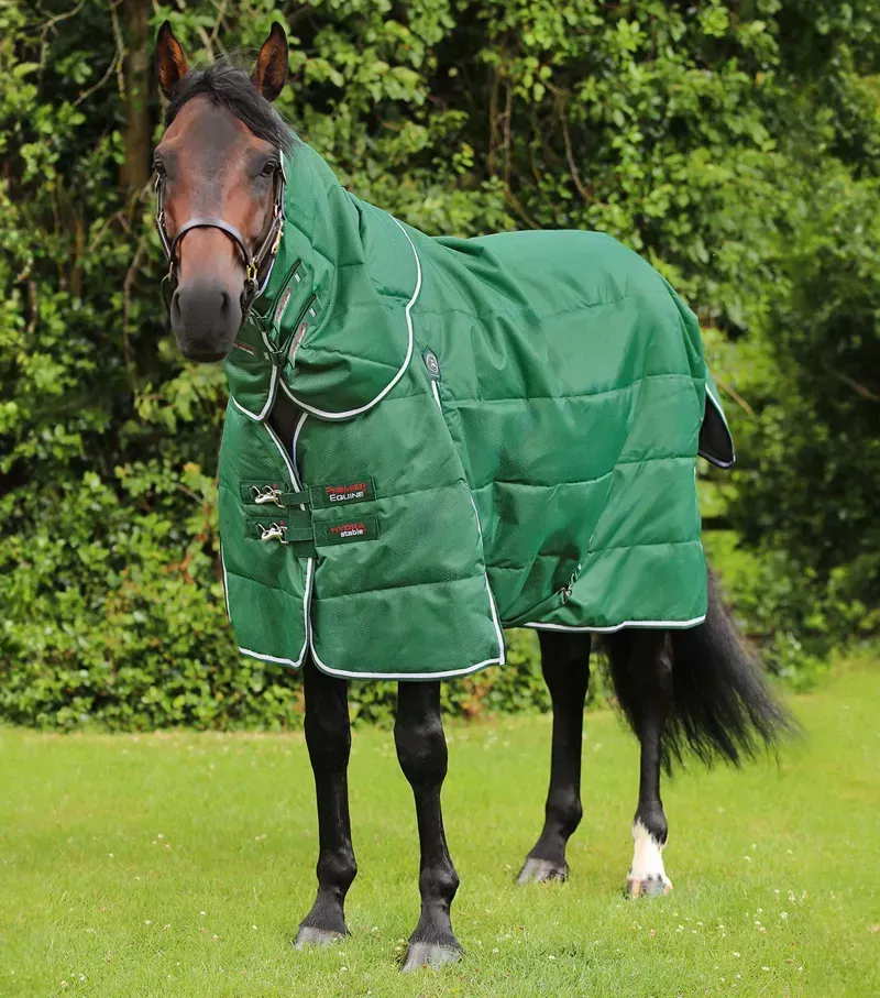 Premier Equine Hydra 200g Stable Rug With Neck Cover - Green