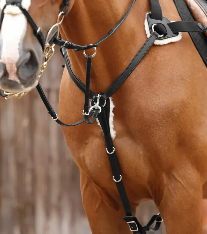 Premier Equine Invorio 5 Point Breastplate - Black-2