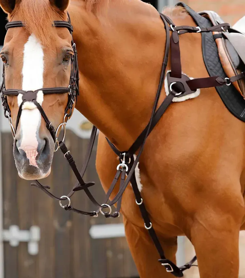 Premier Equine Invorio 5 Point Breastplate - Brown-3