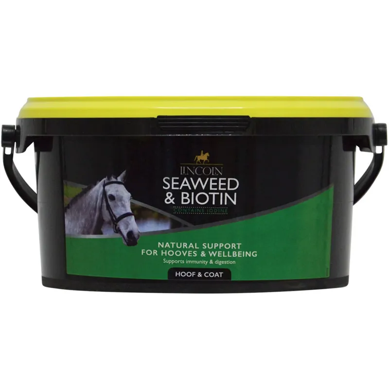 Lincoln Seaweed and Biotin - 1kg