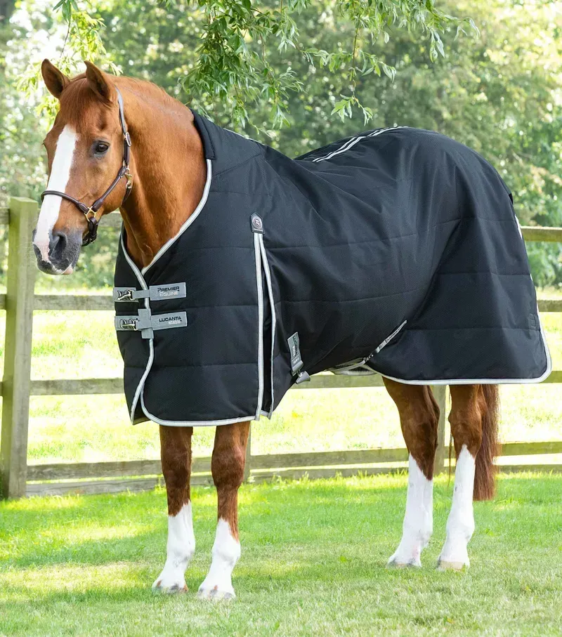 Premier Equine 100g Lucanta Demi Stable Rug - Black