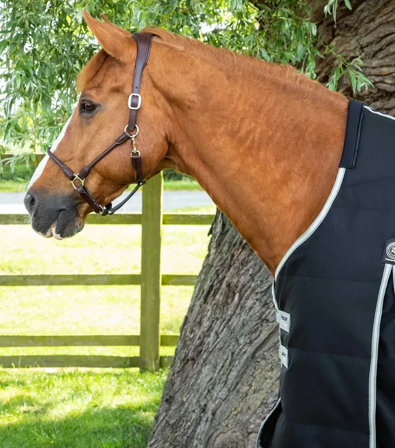 Premier Equine 100g Lucanta Demi Stable Rug - Black-1