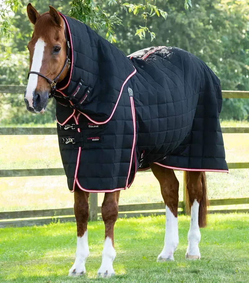Premier Equine Lucanta 200g Stable Rug with Neck Cover - Black