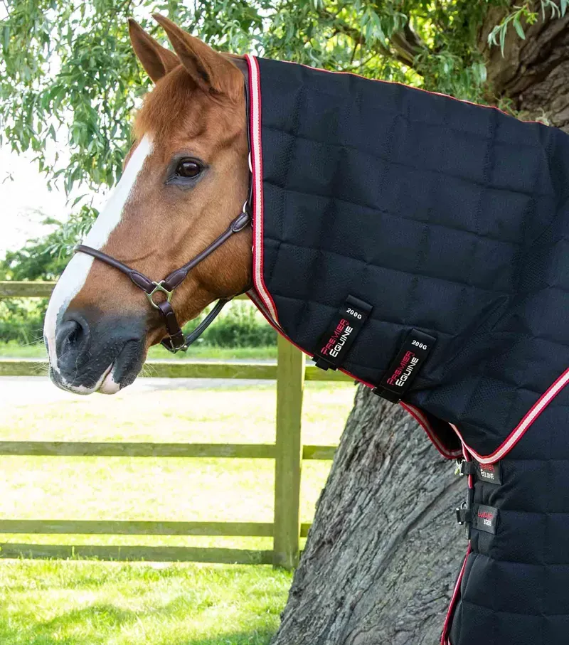 Premier Equine Lucanta 200g Stable Rug with Neck Cover - Black-1
