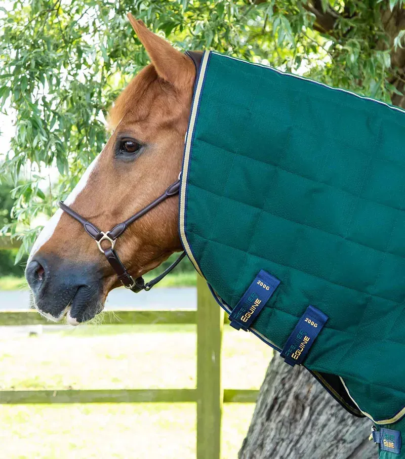 Premier Equine 200g Lucanta Stable Rug With Neck Cover - Green-1