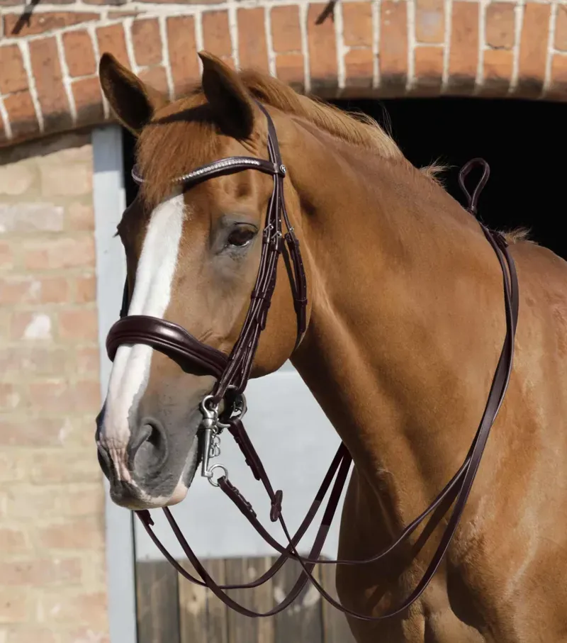 Premier Equine 5/8 Luigi Plain Leather Reins - Brown-1