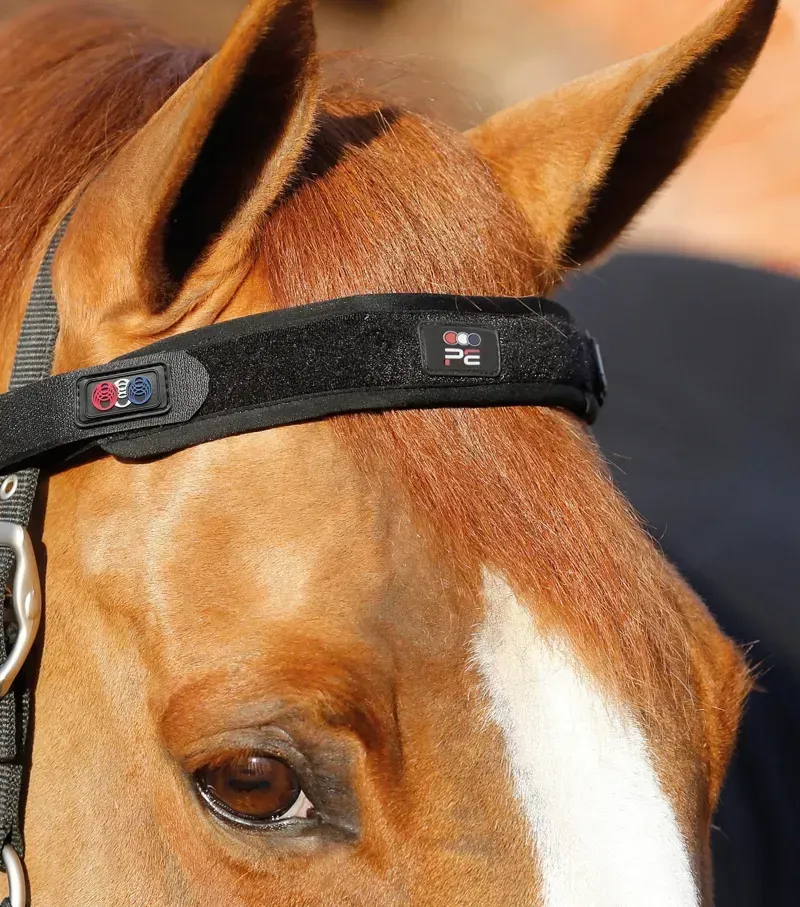 Premier Equine Magni-Teque Magnetic Browband - Black