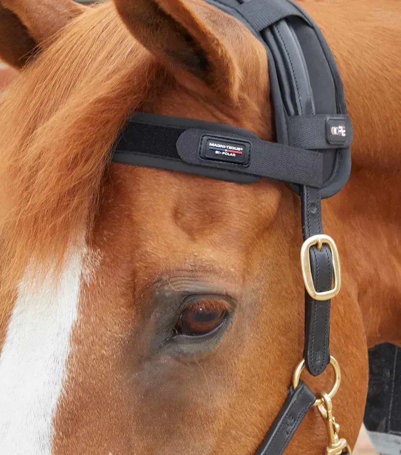 Premier Equine Magni-Teque Magnetic Browband - Black-2