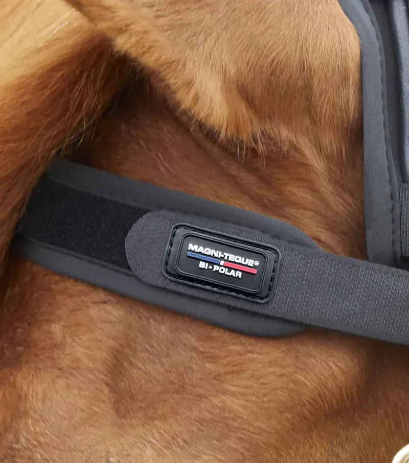 Premier Equine Magni-Teque Magnetic Browband - Black-3