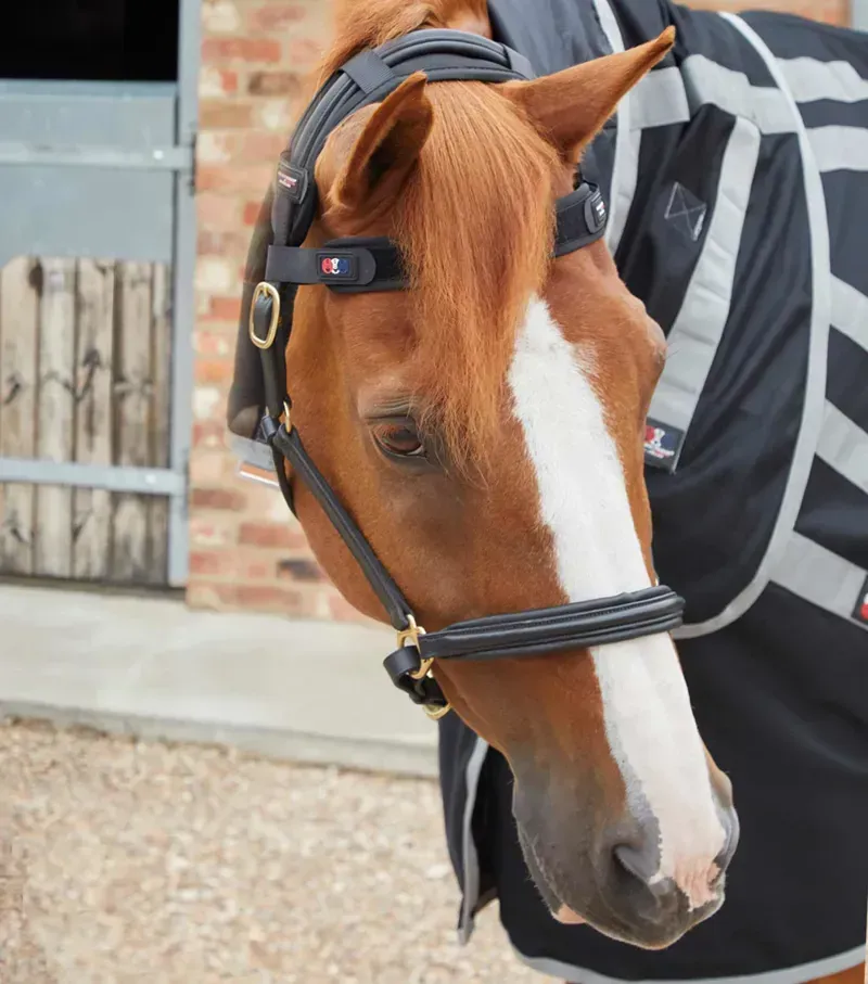 Premier Equine Magni-Teque Magnetic Browband - Black-1