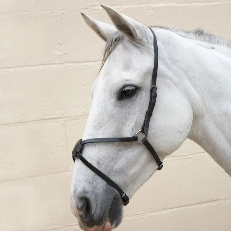 Hy Equestrian Mexican Grackle Noseband - Black