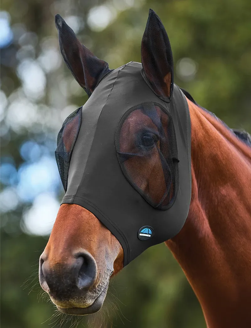 Horse Wear