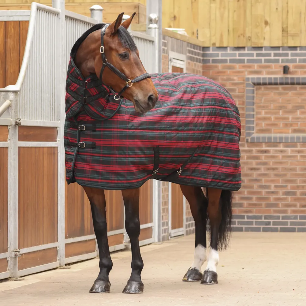 Horse Wear