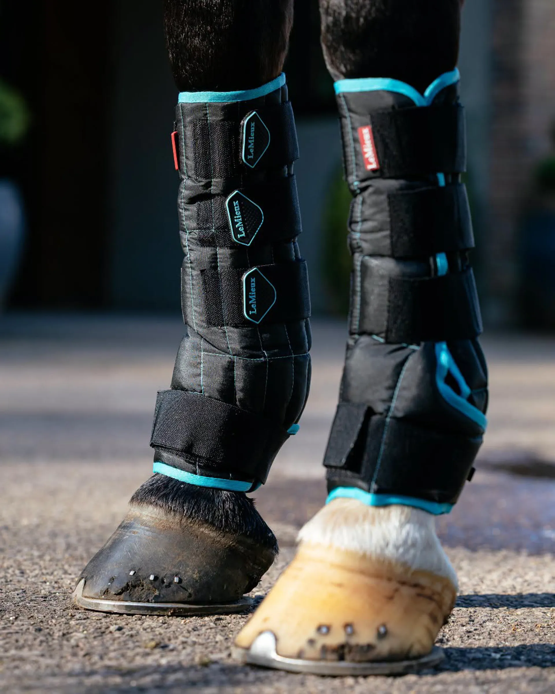 Horse Boots