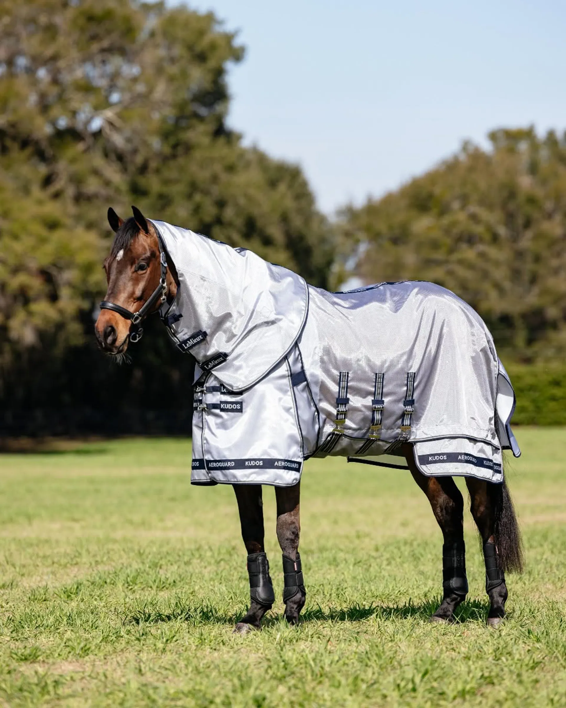 Horse Rugs