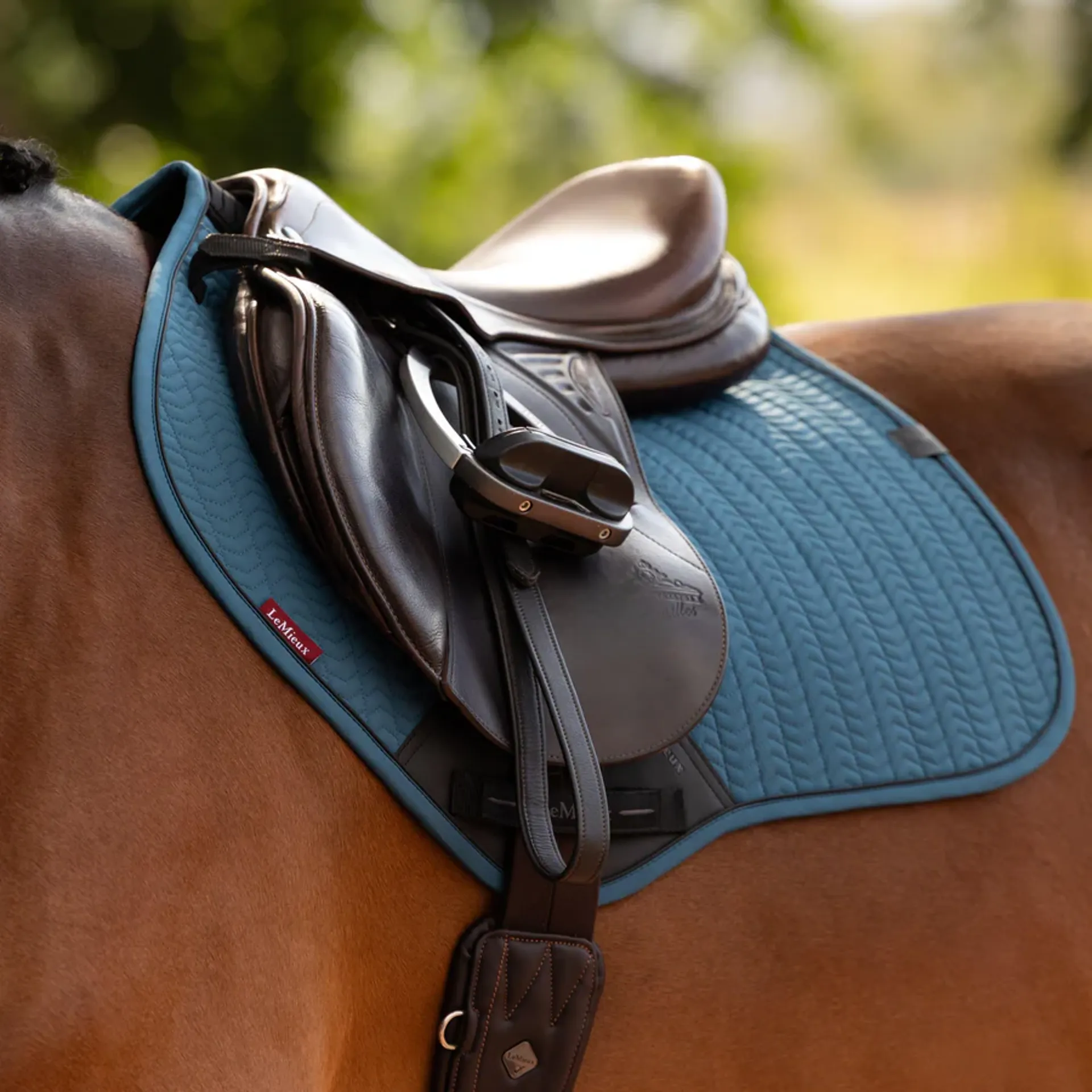 Saddlery and Tack