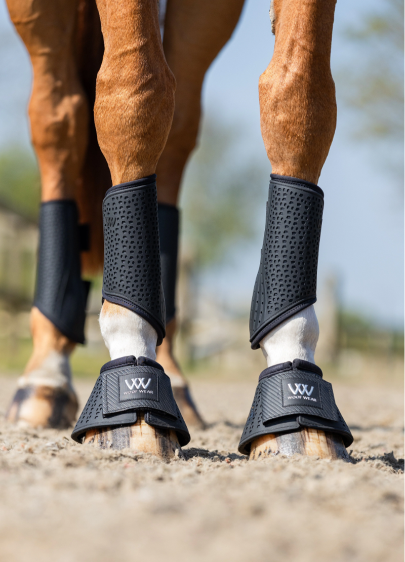 Horse Boots & Protection