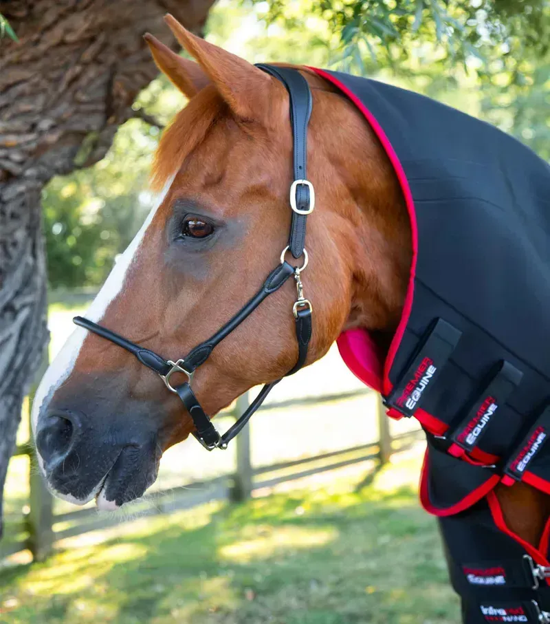 Premier Equine Nano-Tec Infrared Horse Rug - Black-1