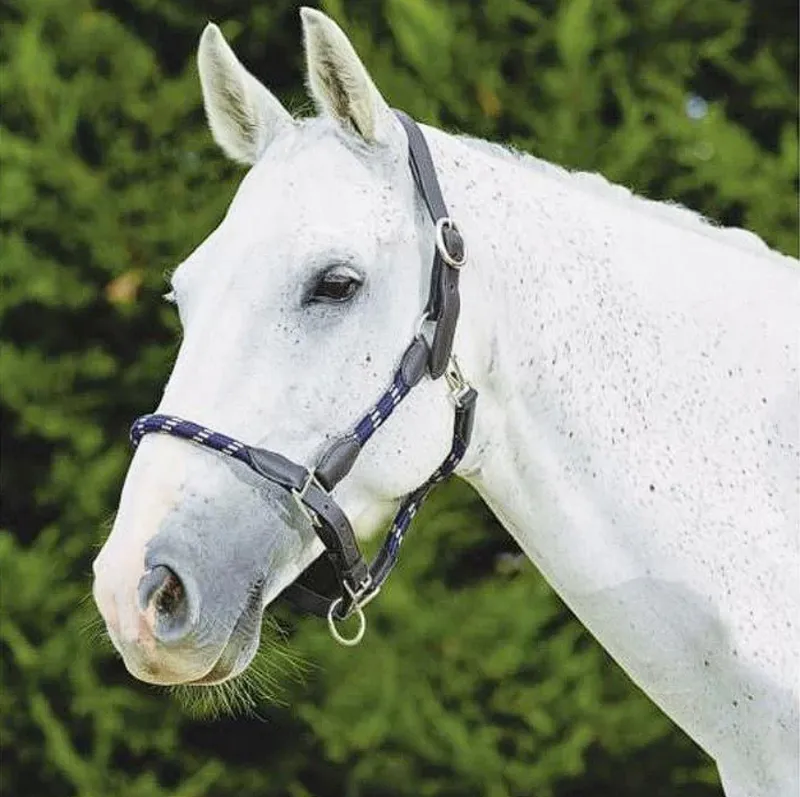 Kincade Leather Rope Halter - Navy/Brown
