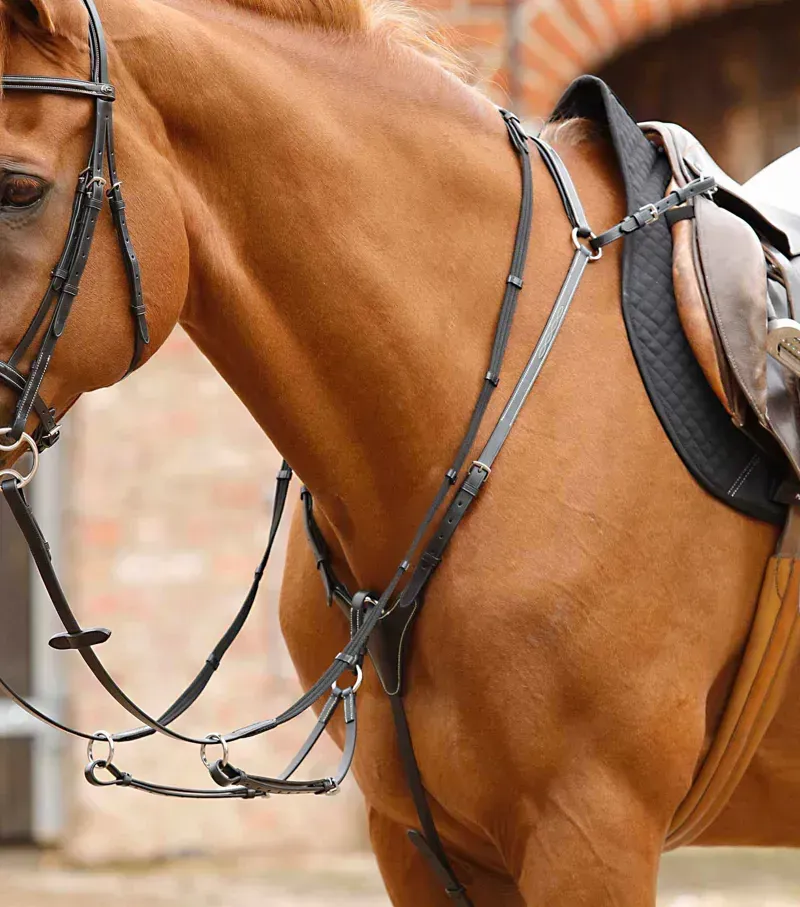 Premier Equine Norbello Hunter Breastplate in Black
