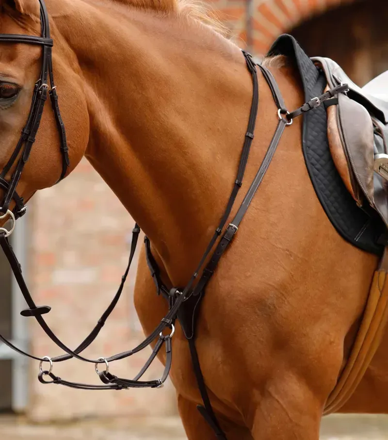 Premier Equine Norbello Hunter Breastplate - Brown