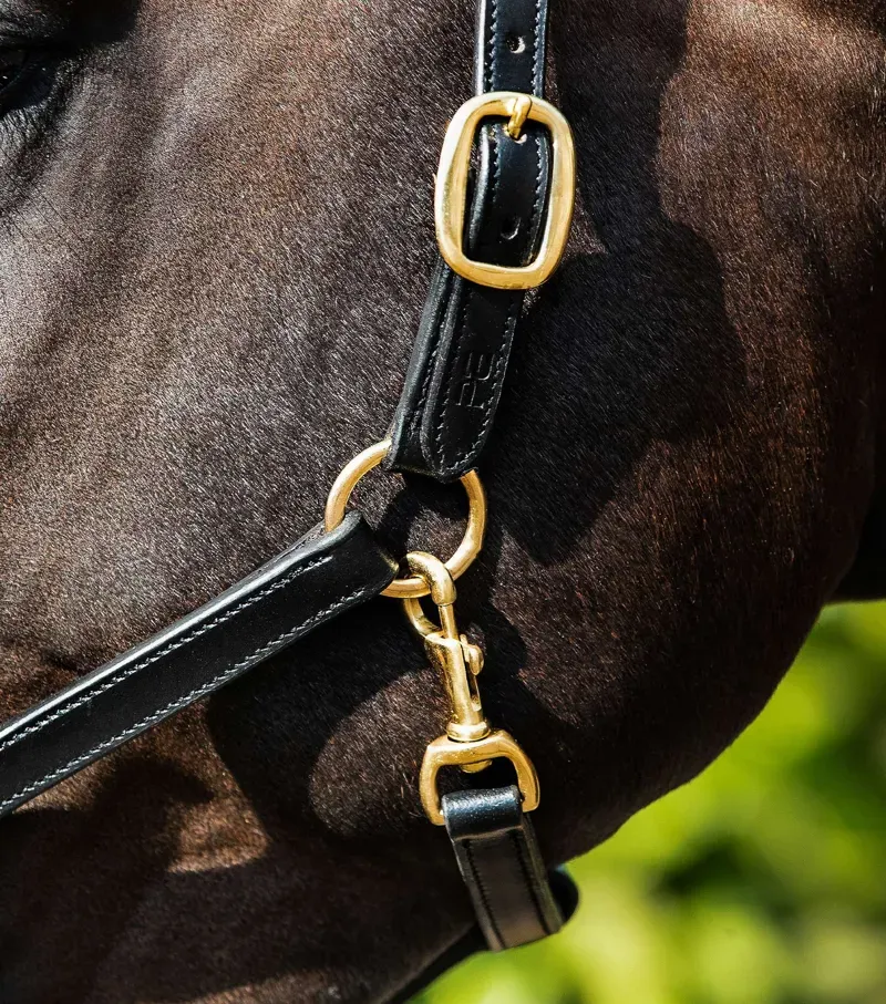 Premier Equine Rego Padded Leather Head Collar - Black-1