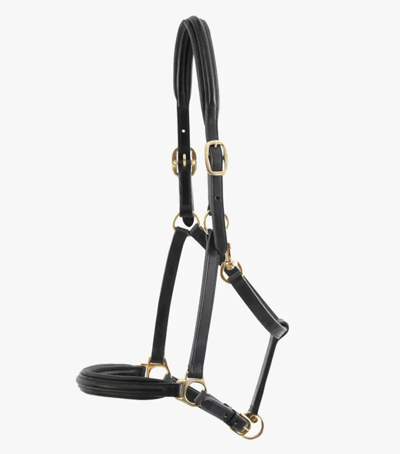 Premier Equine Rego Padded Leather Head Collar - Black-3