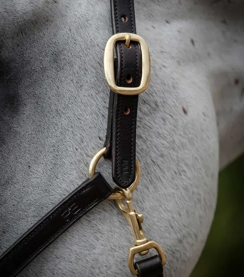 Premier Equine Rego Padded Leather Head Collar - Brown-1