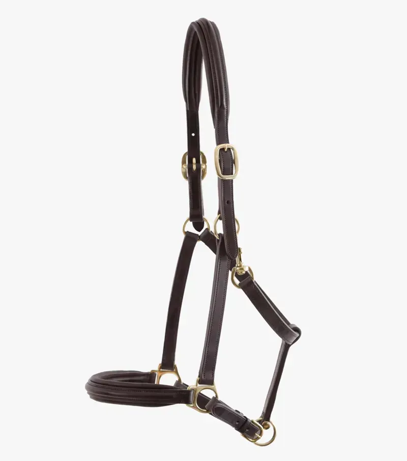 Premier Equine Rego Padded Leather Head Collar - Brown-3