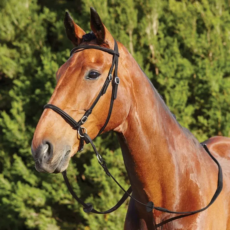 Dublin Bitless Bridle - Black