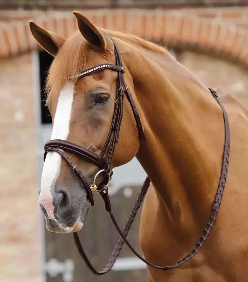 Premier Equine 3/4 Pietro Laced Reins - Brown-1