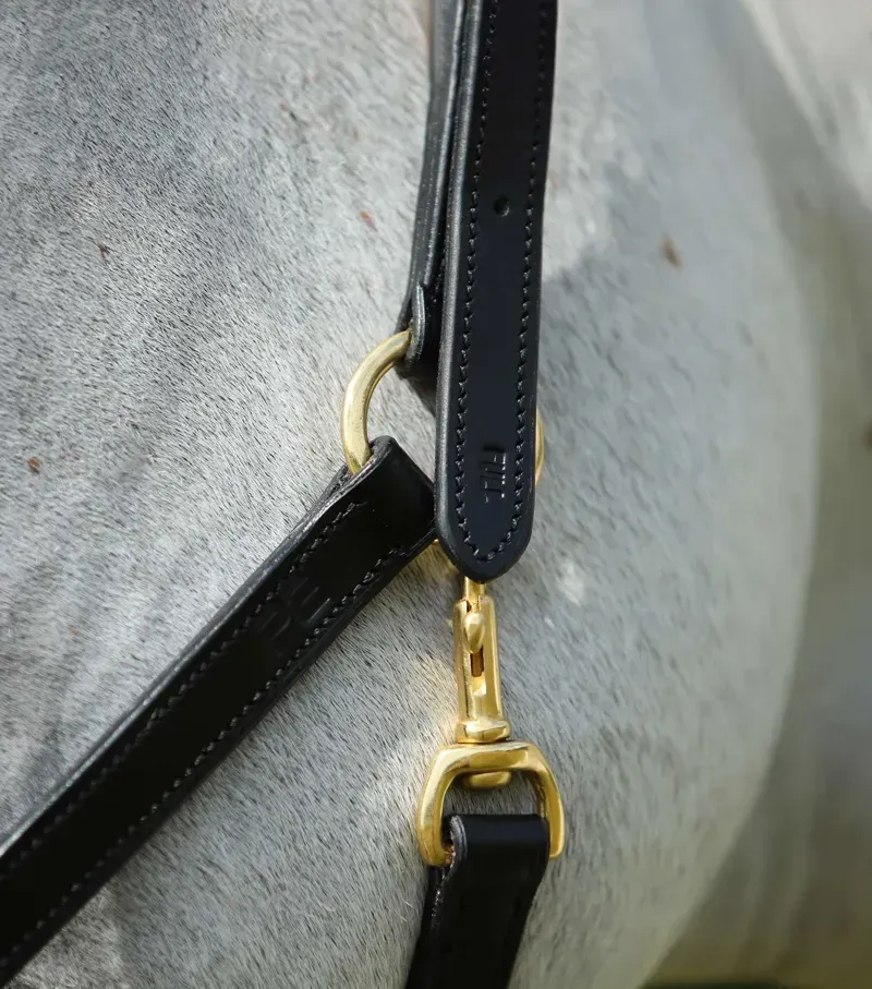 Premier Equine Pasco Plain Leather Head Collar - Black-1