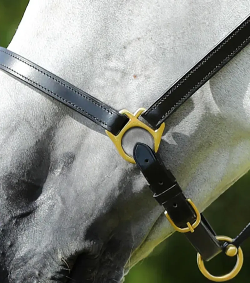 Premier Equine Pasco Plain Leather Head Collar - Black-2