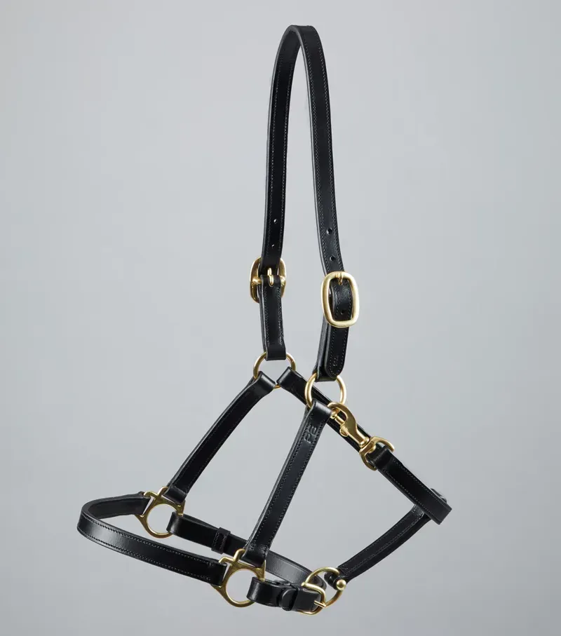 Premier Equine Pasco Plain Leather Head Collar - Black-3