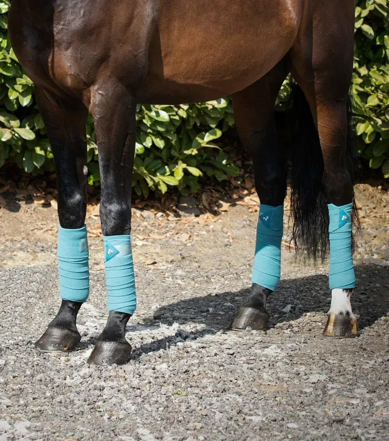 Premier Equine Horse Polo Fleece Bandages - Turquoise-1