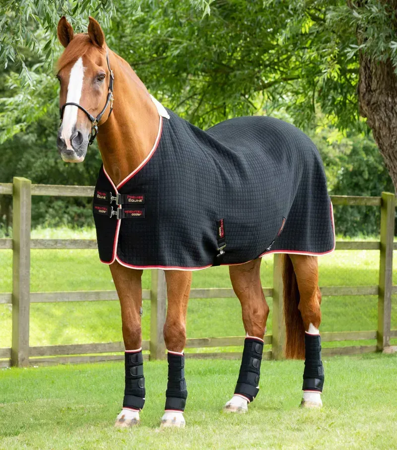 Premier Equine PremTex Horse Cooler Rug - Black
