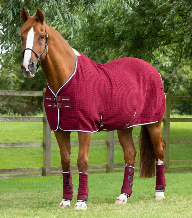 Premier Equine PremTex Horse Cooler Rug - Burgundy