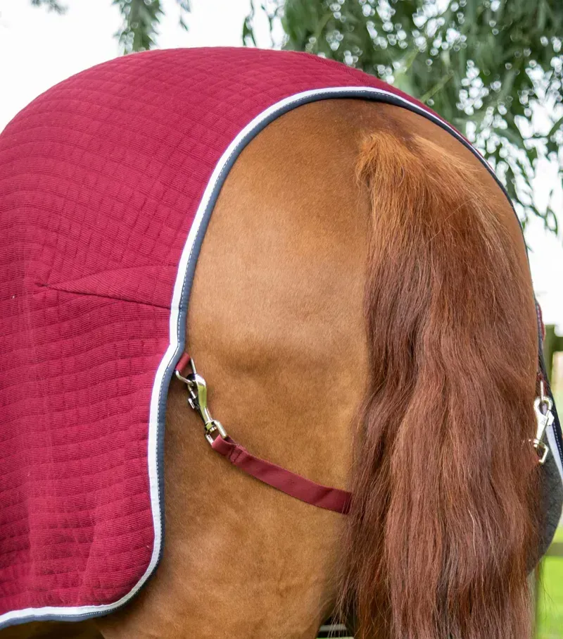 Premier Equine PremTex Horse Cooler Rug - Burgundy-4