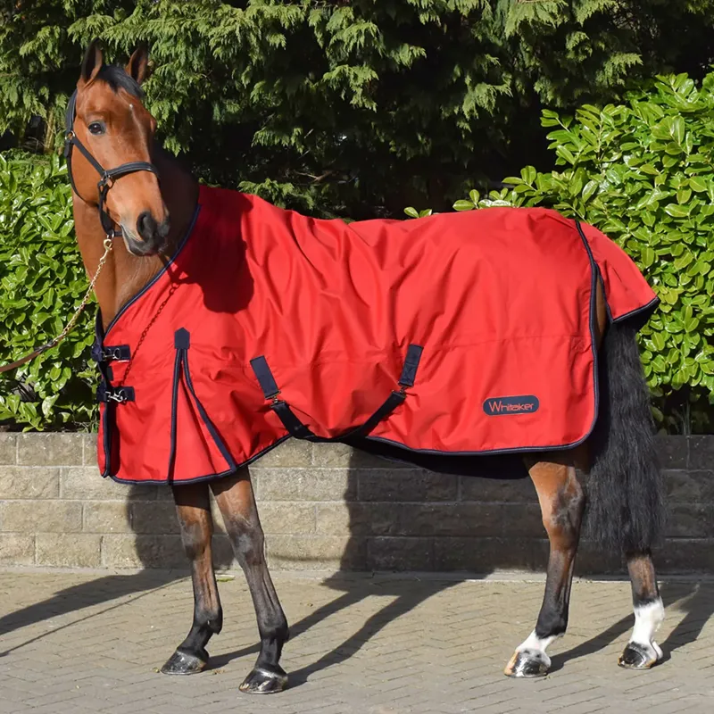 John Whitaker Rastrick 0g Turnout Rug - Red