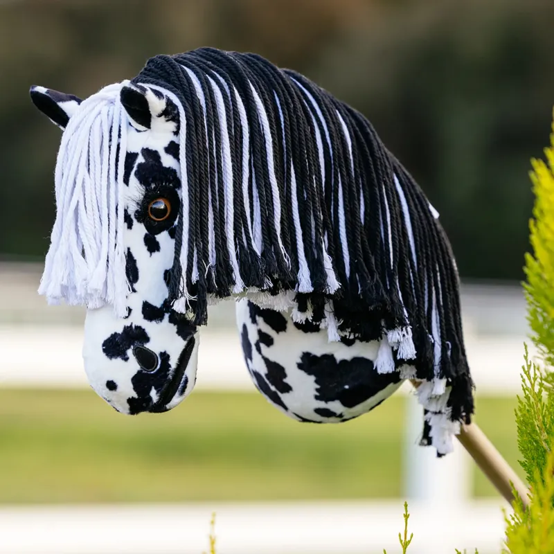 LeMieux Hobby Horse - Dakota-1