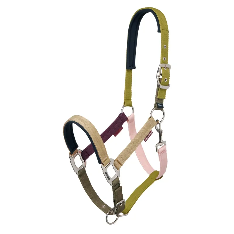 LeMieux Medley Headcollar - Gooseberry/Pear/Petal